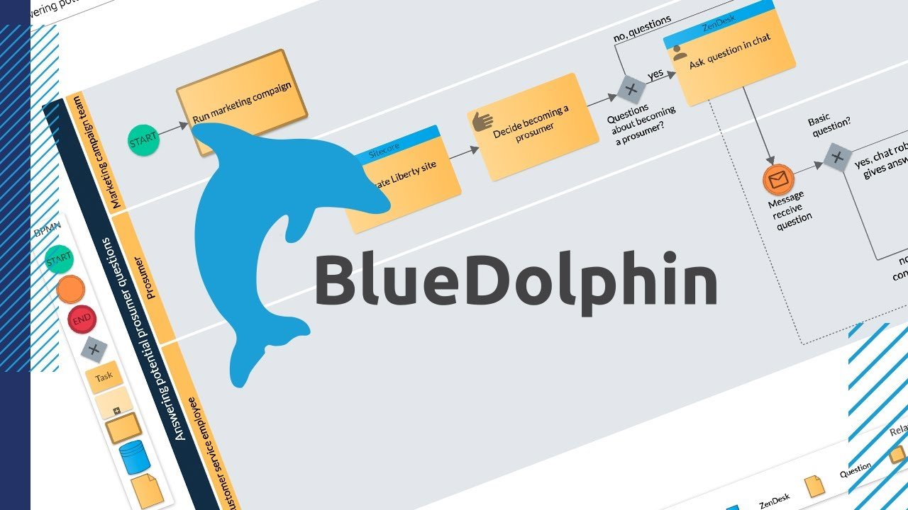 Bluedolphin Band Profile Pic