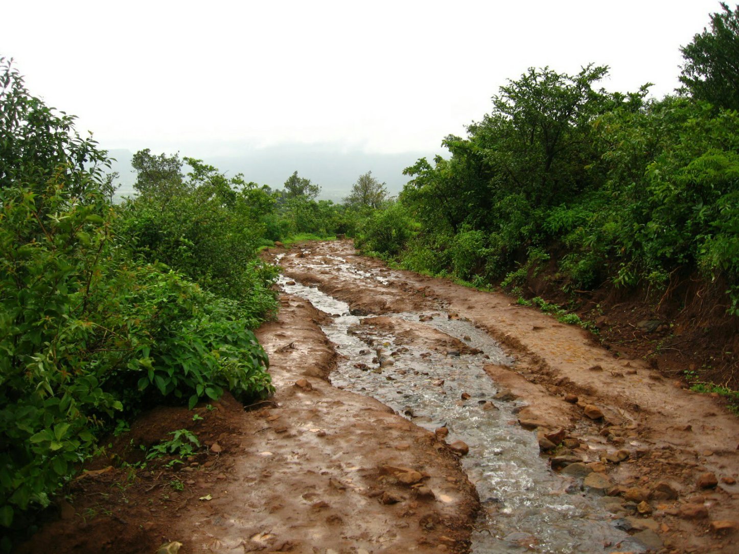Mud Road Profile Pic