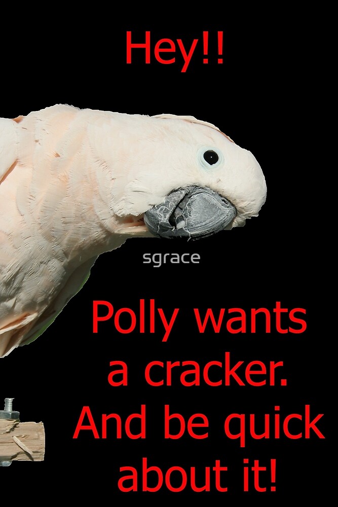 Polly Wants a Cracker Profile Pic