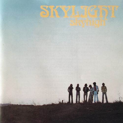 Skylight Vision Profile Pic