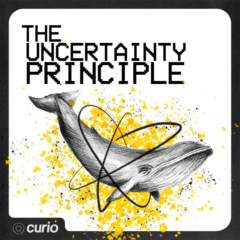 The Uncertainty Principle Profile Pic